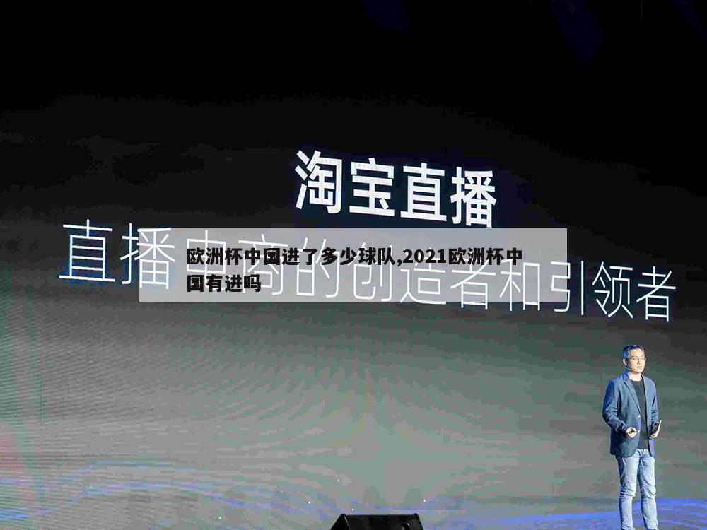 欧洲杯中国进了多少球队,2021欧洲杯中国有进吗