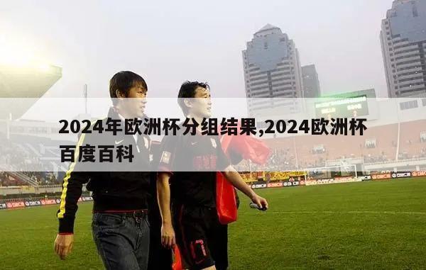 2024年欧洲杯分组结果,2024欧洲杯百度百科