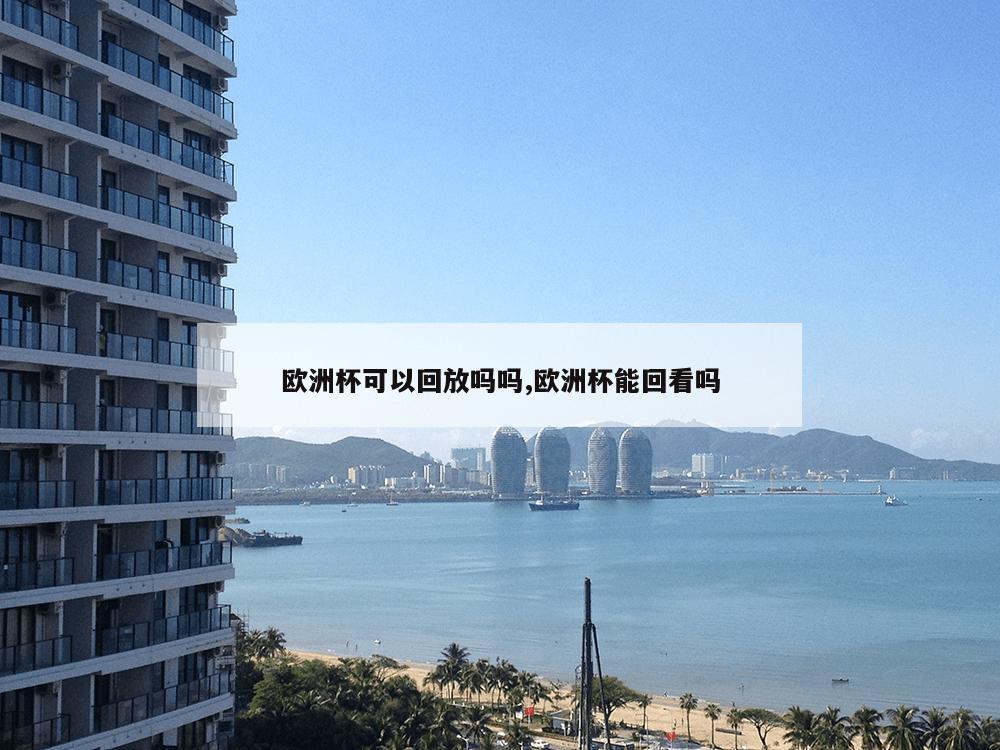 欧洲杯可以回放吗吗,欧洲杯能回看吗