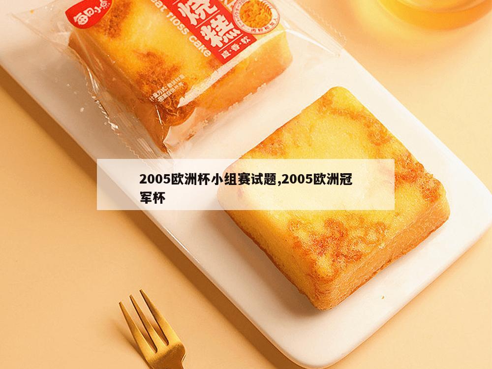 2005欧洲杯小组赛试题,2005欧洲冠军杯