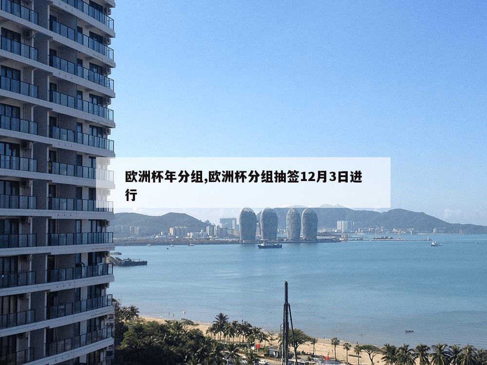 欧洲杯年分组,欧洲杯分组抽签12月3日进行