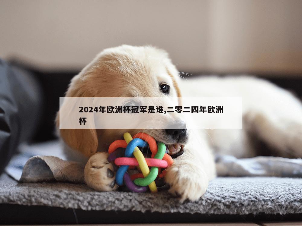 2024年欧洲杯冠军是谁,二零二四年欧洲杯