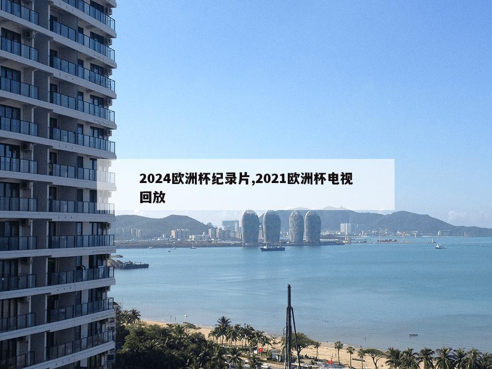 2024欧洲杯纪录片,2021欧洲杯电视回放