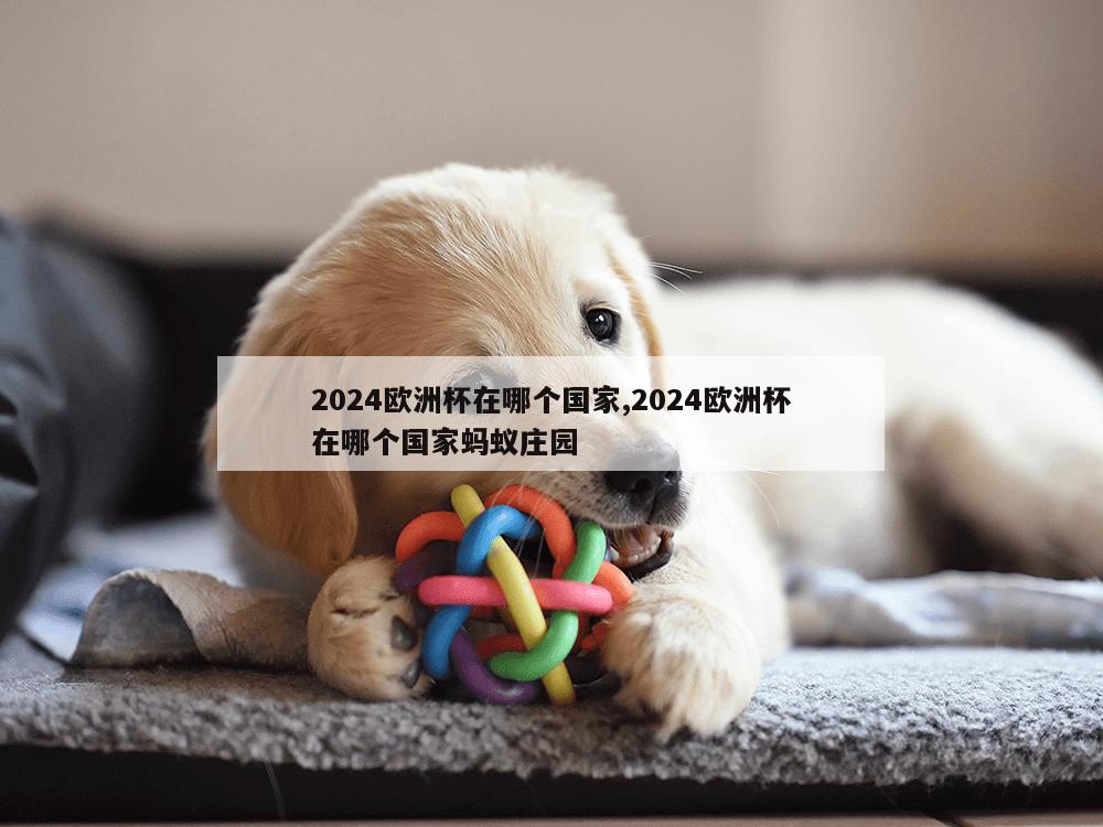 2024欧洲杯在哪个国家,2024欧洲杯在哪个国家蚂蚁庄园