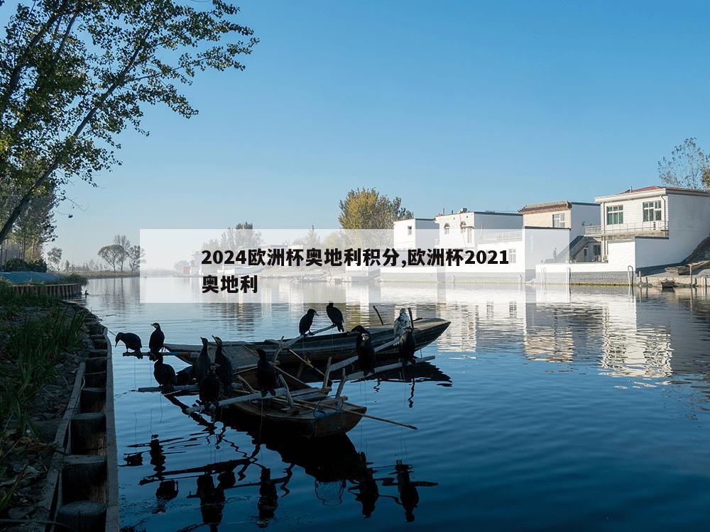 2024欧洲杯奥地利积分,欧洲杯2021奥地利